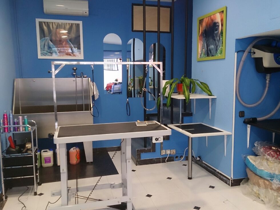 Galería de imágenes